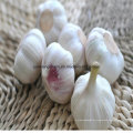 2016 New Crop Frischer Knoblauch aus China (Top-Qualität)